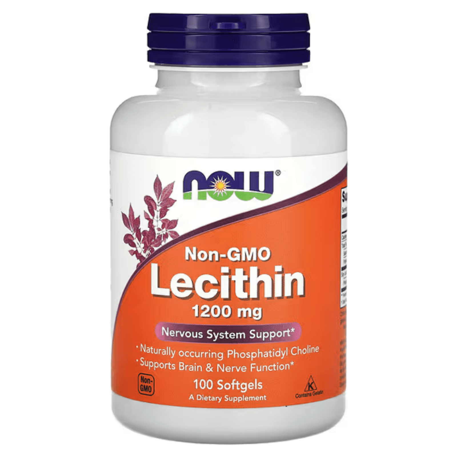 Лецитин, 1200 мг, 100 капсул, Lecithin